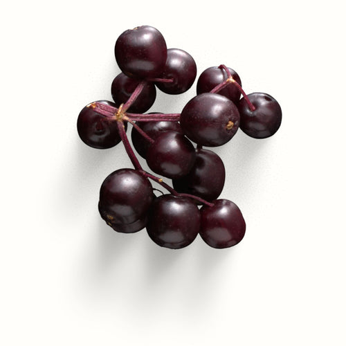Top Note 2