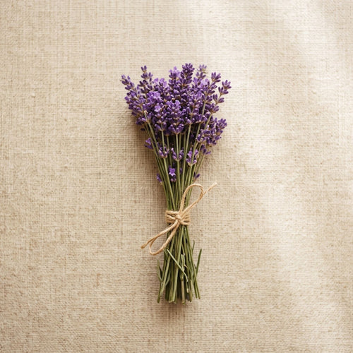 lavendel